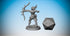 AMAZON ARCHER #01 of #03 | Dungeons and Dragons | DnD | Pathfinder | Tabletop | RPG | Hero Size | 28 mm-Role Playing Miniatures
