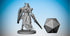 DRAGONBORN PALADIN | Dungeons and Dragons | DnD | Pathfinder | Tabletop | RPG | Hero Size | 28 mm-Role Playing Miniatures