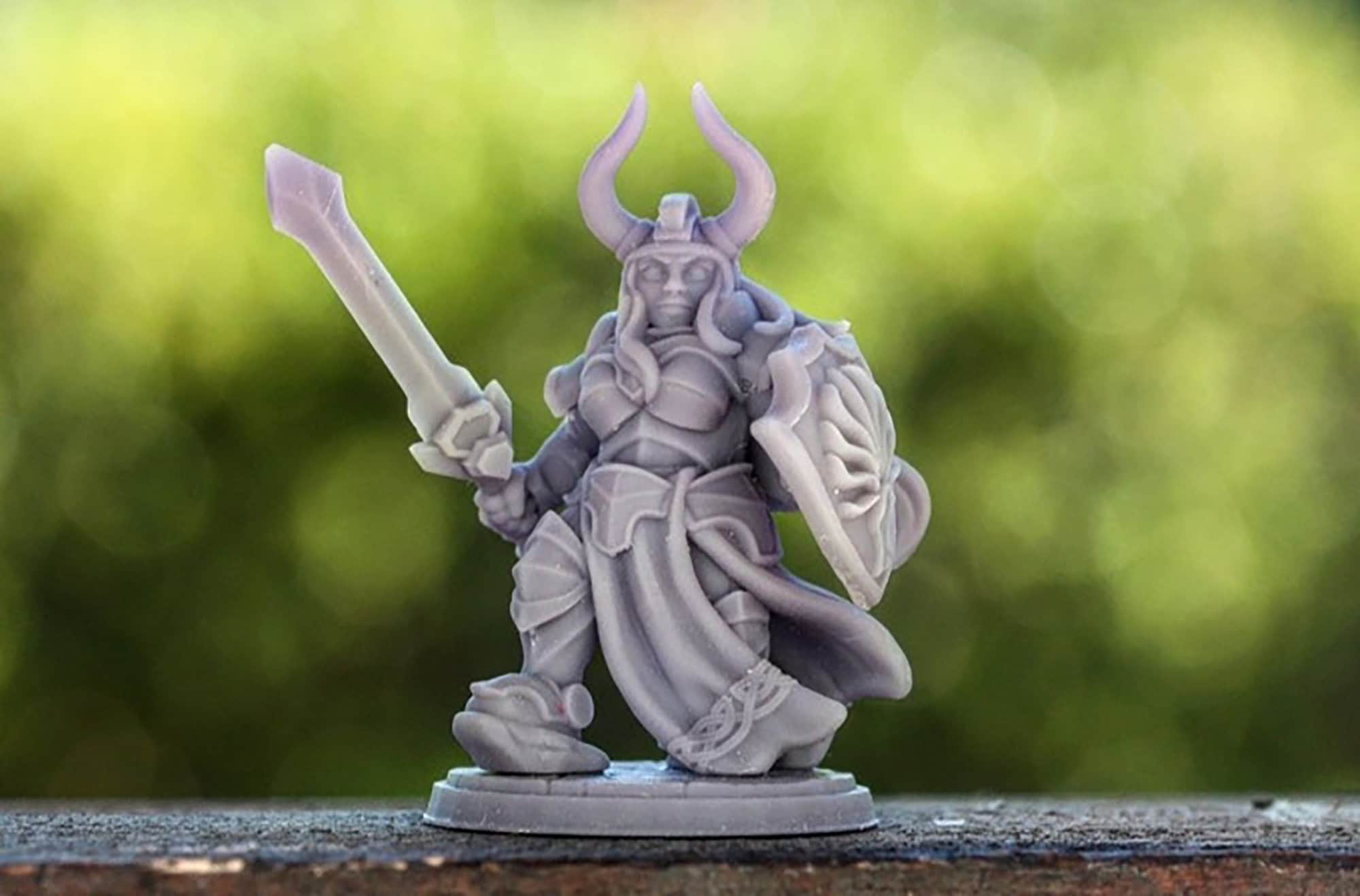 DWARF FIGHTER (F) "Dwana the Queen" | Dungeons and Dragons | DnD | Pathfinder | Tabletop | RPG | Hero Size | 28 mm-Role Playing Miniatures
