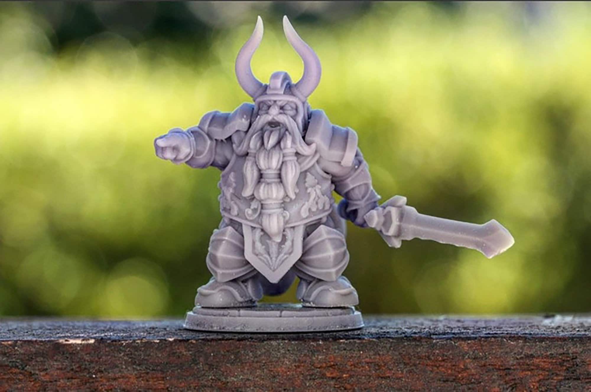 DWARF FIGHTER (M) "Luther the King" | Dungeons and Dragons | DnD | Pathfinder | Tabletop | RPG | Hero Size | 28 mm-Role Playing Miniatures