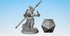 DRAGONBORN "Paladin with Spear" (F)-Role Playing Miniatures