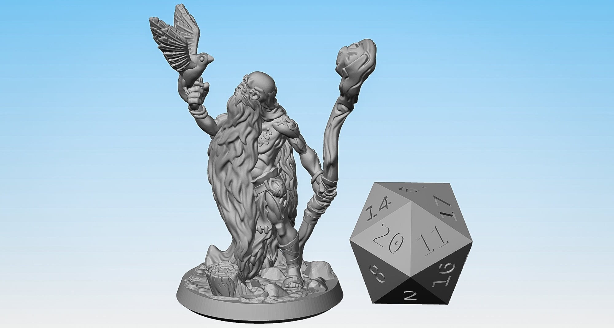 DRUID (m) "Bird Lover" | Dungeons and Dragons | DnD | Pathfinder | Tabletop | RPG | Hero Size | 28 mm-Role Playing Miniatures